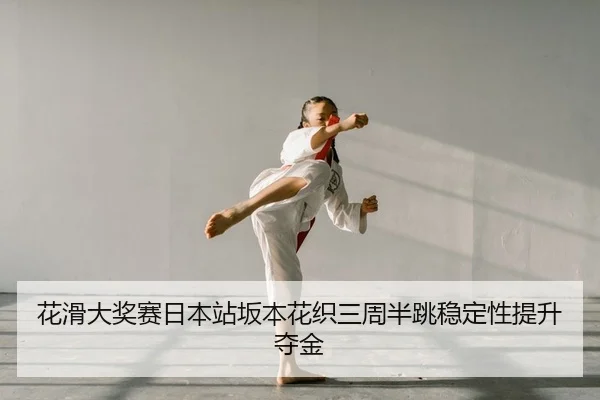 hua-hua-da-jiang-sai-ri-ben-zhan-ban-ben-hua-zhi-san-zhou-ban-tiao-wen-ding-xing-ti-sheng-duo-jin-2-441.jpg
